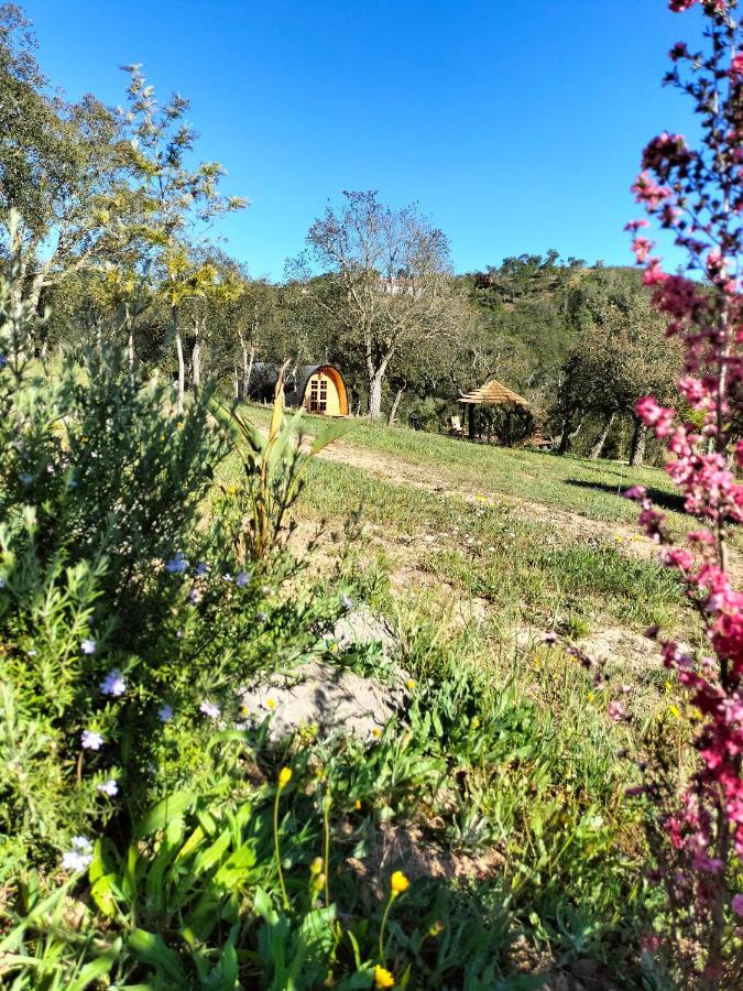 A Baleia, Bungalow De Charme Aljezur Εξωτερικό φωτογραφία